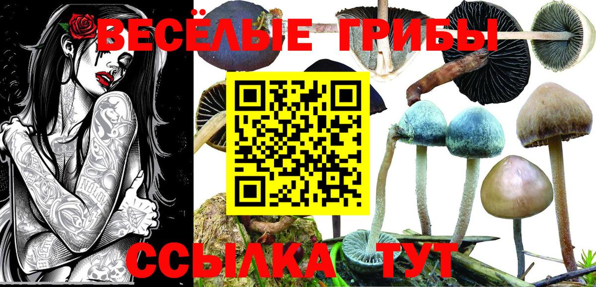 Соликамск  Псилоцибиновые грибы Psilocybe  Галлюциногенные грибы Psilocybe  Вход с VPN 